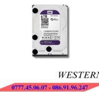 Ổ Cứng Giám Sát WD Purple 6TB WD60PURZ