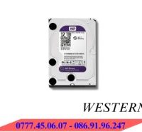 Ổ Cứng HDD Western Purple 12TB (WD121PURZ)